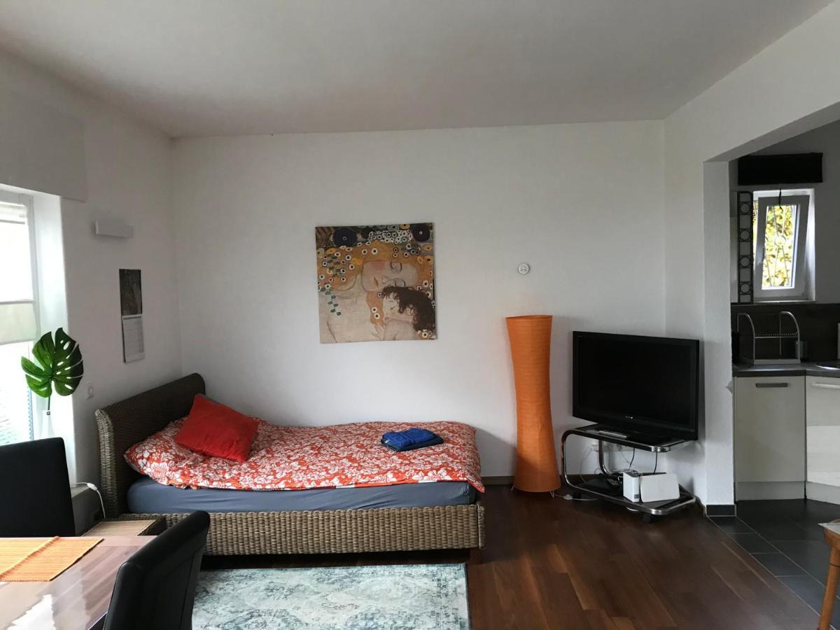 Grosses, Helles Apartement - Naehe Marburg & Giessen Fronhausen Ngoại thất bức ảnh